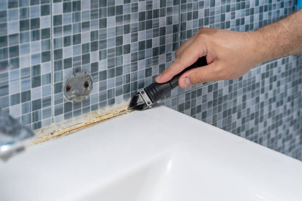 Best Toxic Mold Removal  in King Of Prussia, PA